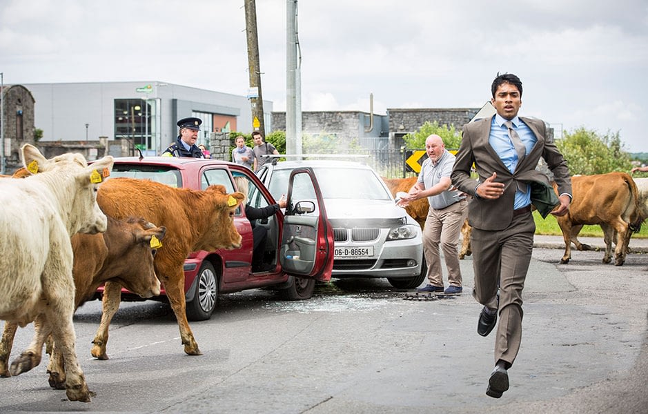 Irish movie, film, set still, mad, crazy, cows, chaos, running, ireland, cows, 